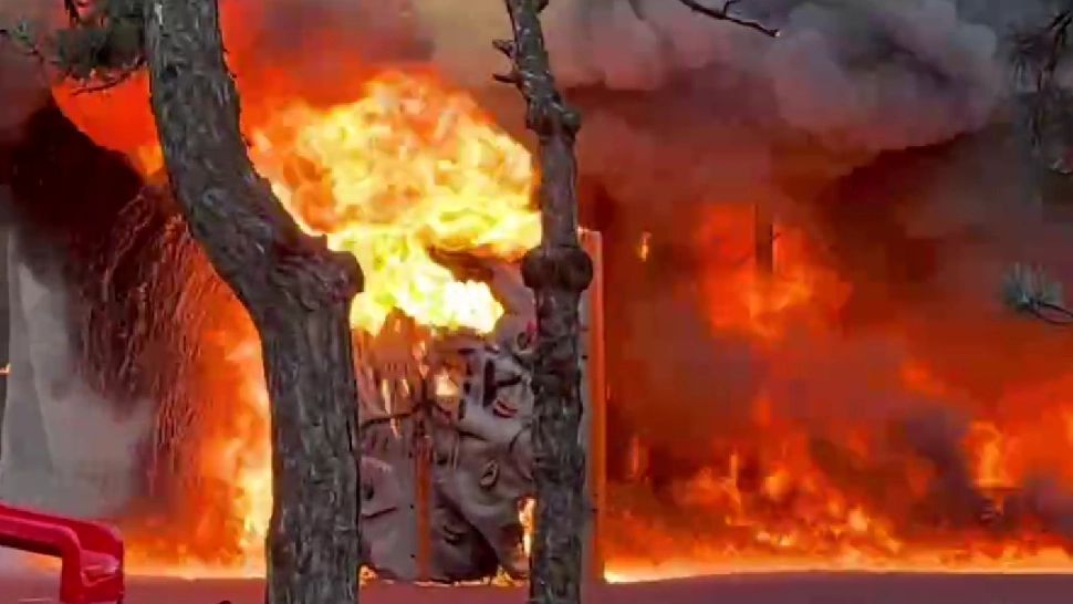 Incendiul care a creat panică în zona Parcului IOR, provocat de tineri teribiliști. Ce a anunțat edilul Robert Negoiță? - FOTO