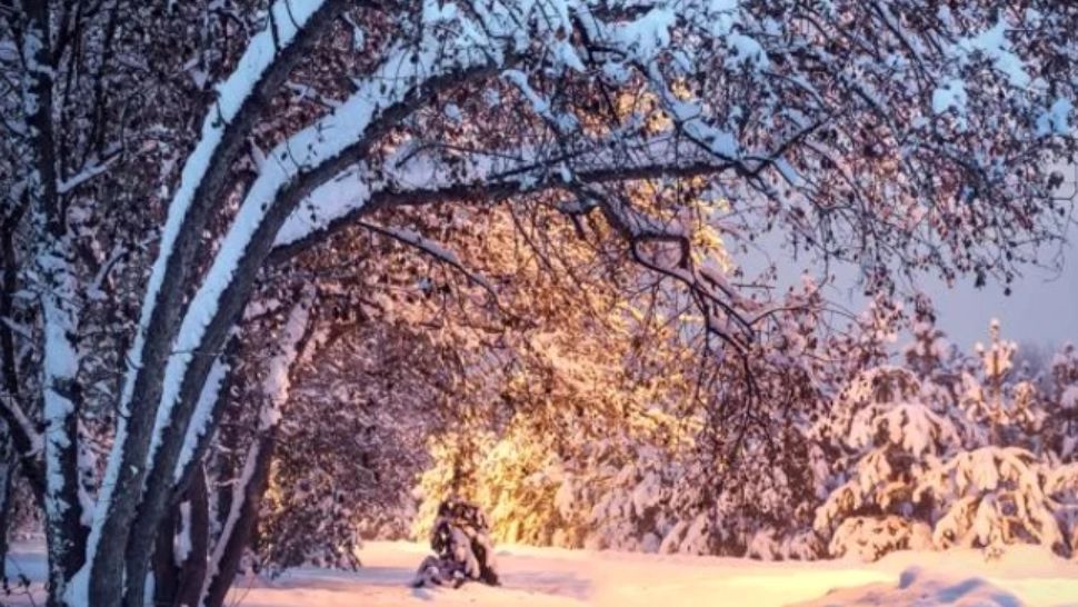 Vremea extremelor în România: Temperaturi de primăvară și ninsori, la final de februarie - Unde lovește valul de frig