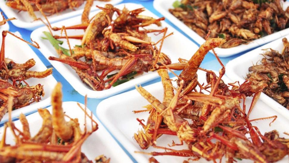 Cum îți dai seama dacă producătorii au folosit insecte în produsele de la raft. Detaliul de pe etichetă care îi dă de gol