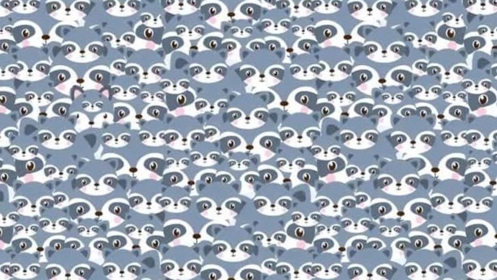 Testul draconic imposibil de rezolvat: găsiti lupul ascuns între ratoni. În doar 5 secunde!