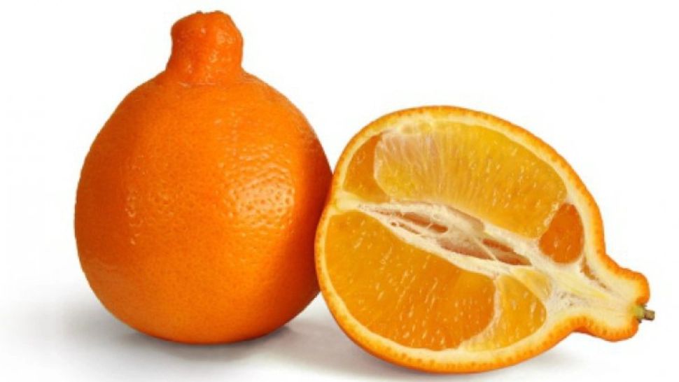 Ce sunt, de fapt, mineolele din supermarketurile româneşti. Mai cumperi?