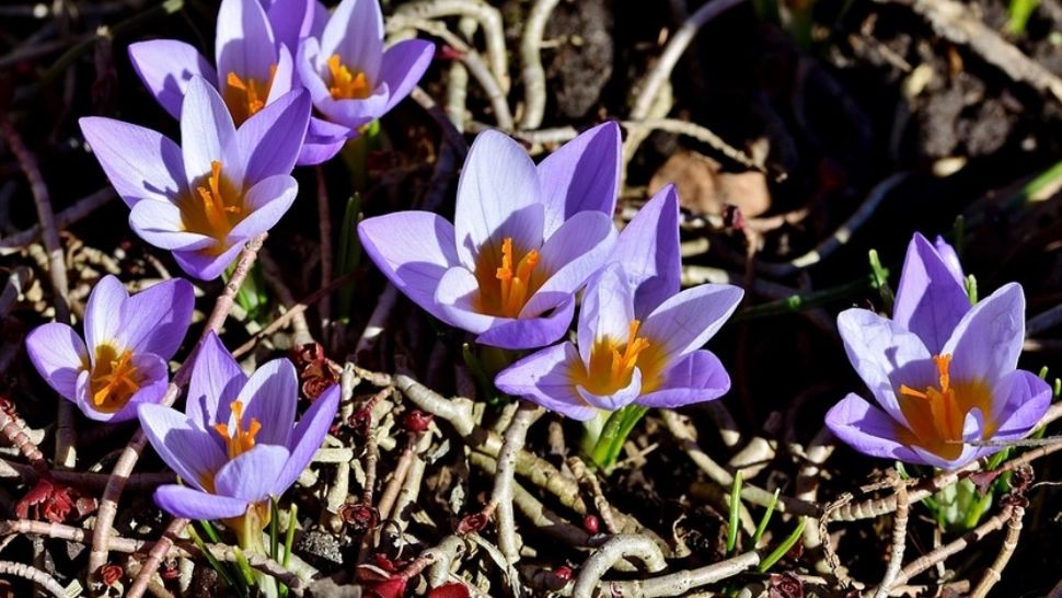 Cod portocaliu de viscol. De mâine, din nou 18 grade! Zonele unde temperaturile sar cu 10 grade peste normalul perioadei 