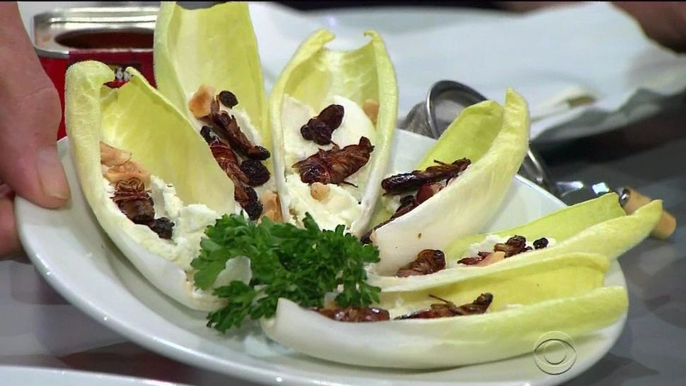 Pastele din făină de greier ajung în câteva săptămâni în farfuriile italienilor. Hrana omeniri, în pragul unei schimbări radicale