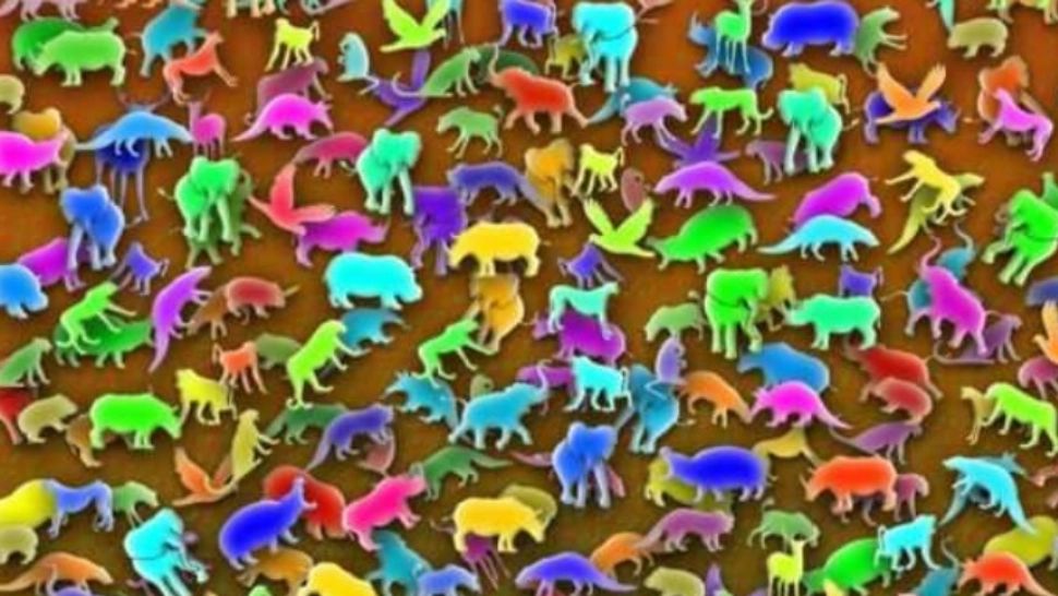 Testul de inteligență care dă bătăi de cap chiar și geniilor! Tu găsești GIRAFA în 10 secunde?