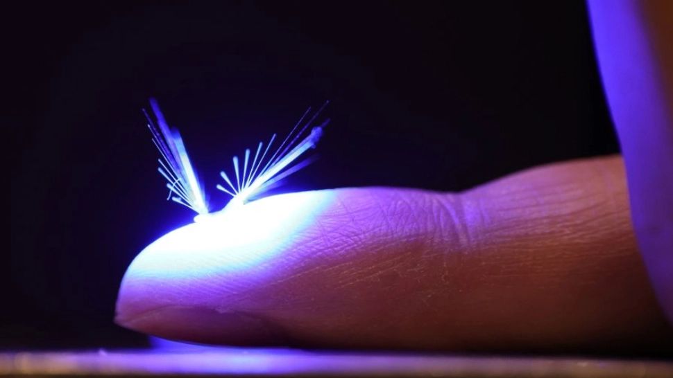 Albinele-robot, salvatorii agriculturii. Micile insecte artificiale zboară din floare în floare ca să facă sarcina polenizatorilor naturali