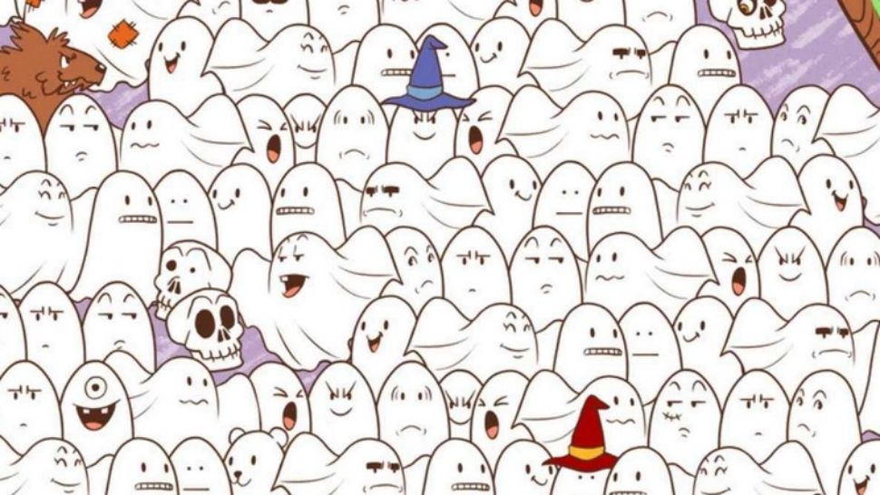 Testul de inteligență pe care numai geniile îl trec - găsește ursulețul de pluș! 