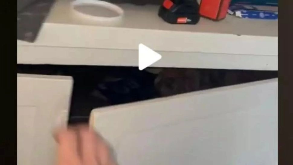 VIDEO – Ce a găsit un bărbat în locuința surorii sale – A deschis un dulap și s-a îngrozit – Era o întreagă camera secretă