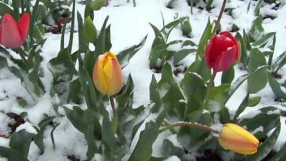 Prognoza meteo actualizază pentru Paşte | Se așteaptă încălzirea vremii - Zonele în care va ninge 