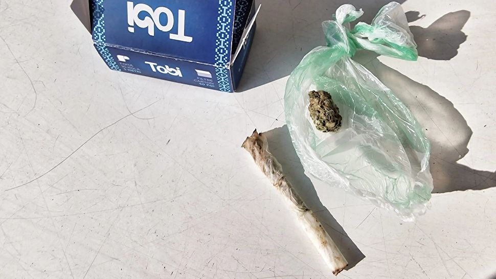 Adolescentă de 17 ani, prinsă cu substanţe interzise în apropierea unui liceu din Târgoviște