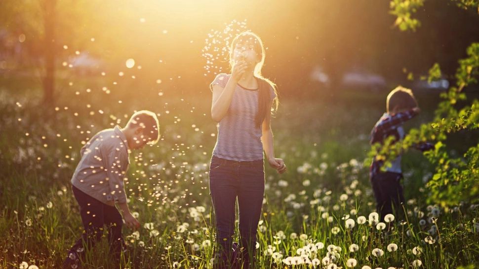 Cum scapi mai ușor de alergiile de primăvară în cea mai periculoasă lună din an - 9 reguli esențiale