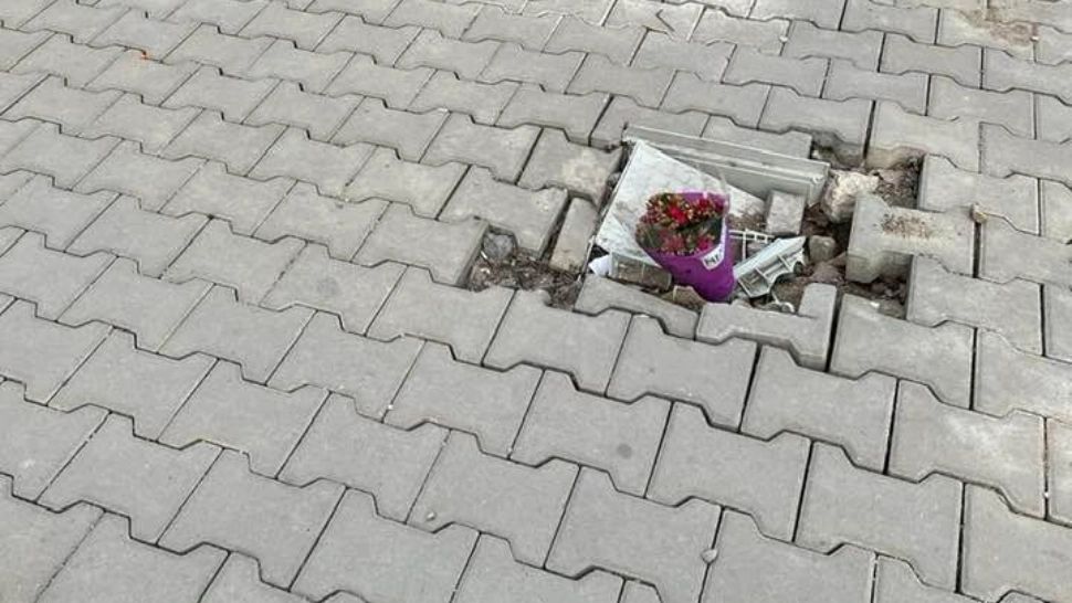 Protest cu flori pentru a semnaliza gropile din asfalt - FOTO