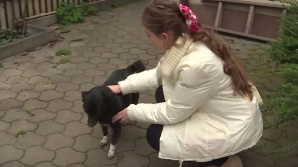 România Suverană | Viața Mariei depinde de un teren pe care DIICOT a pus sechestru