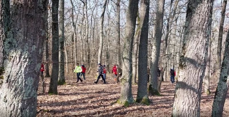 Filmul dispariției studentei la teologie de 25 de ani, din Sibiu. Tânăra, căutată de cu drone și câini de urmă - mobilizare uriașă