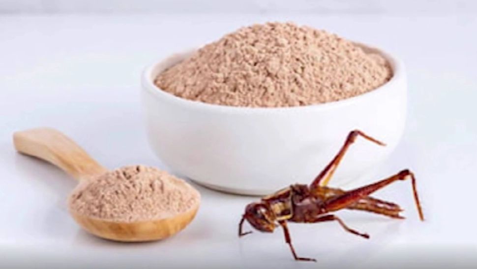 Înalt demnitar român: "Mănânc greieri în mod regulat'. Declarație surprinzătoare legată de consumul de insecte