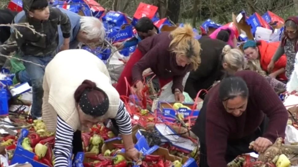 Zeci de oameni s-au îngrămădit să adune în sacoșe și saci legumele dintr-un TIR răsturnat într-o râpă. Imagini ireale! - FOTO&VIDEO