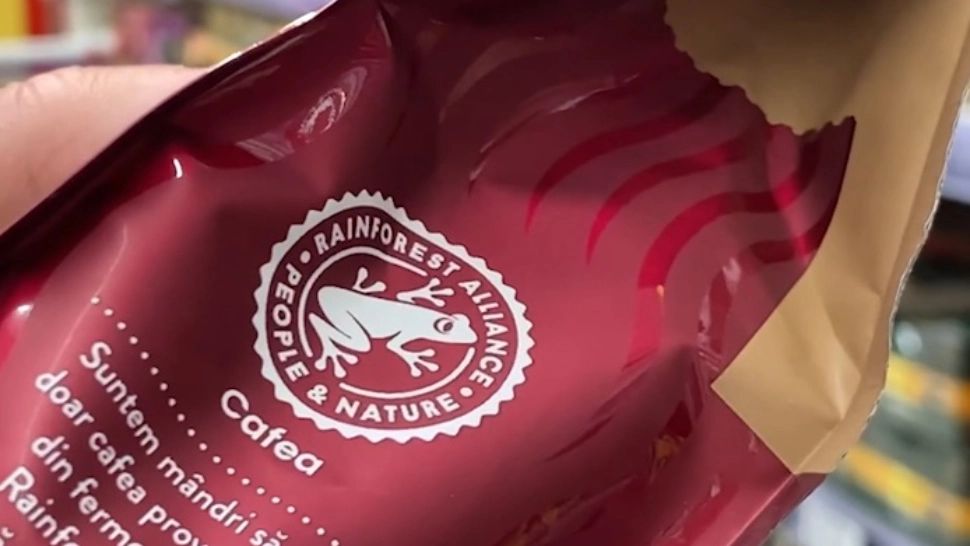 Ce semnifică BROASCA de pe ambalajele din magazinele românești. Ce cumpără, de fapt, românii?