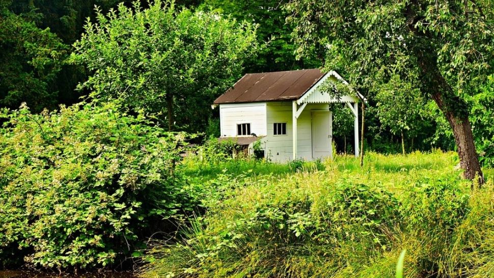 Amendă uriașă pentru români: plătești până la 20.000 de lei dacă ai asta în curte