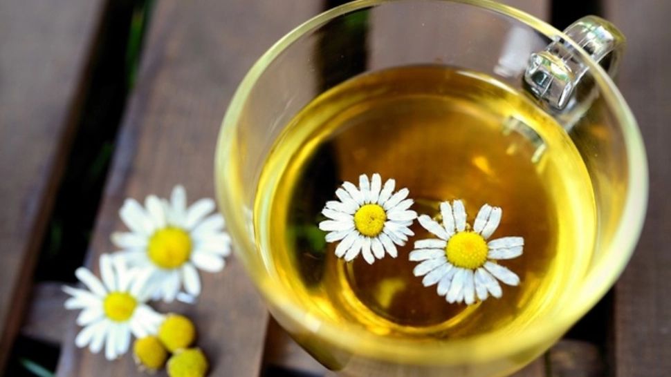 Ceaiul care scade glucoza, hemoglobina glicată, colesterolul și trigliceridele 