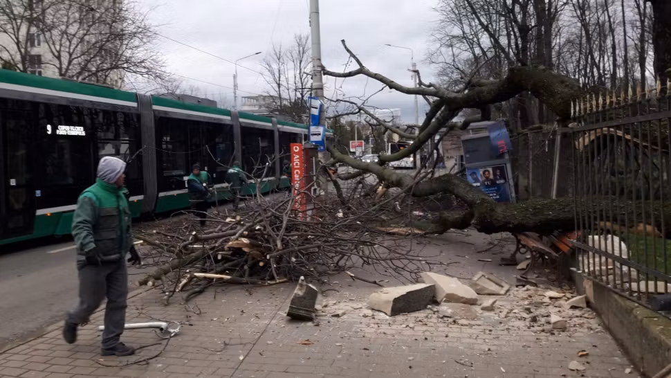 Iași: Momentul în care un copac imens cade peste o stație de tramvai 