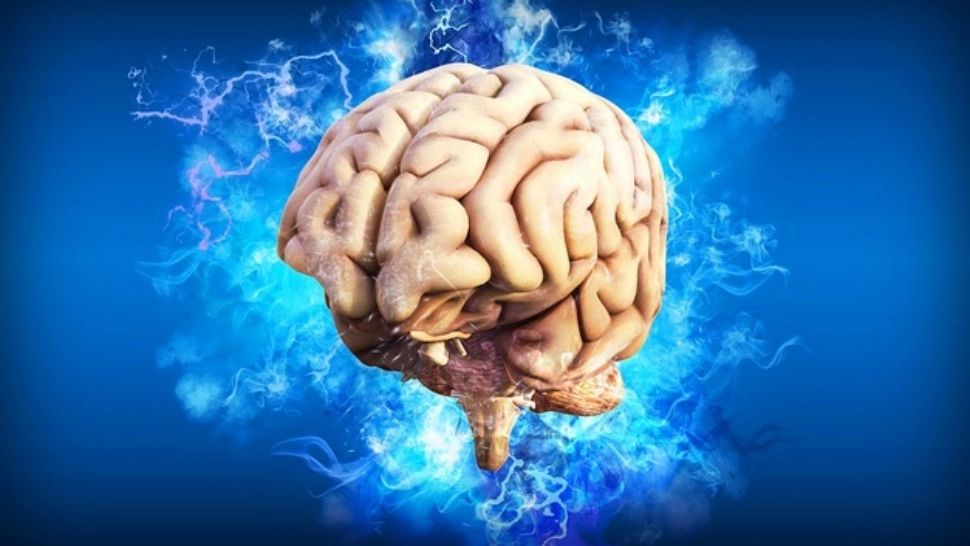 Cele mai toxice alimente pentru creier - secretele dezvăluite de un neurochirurg român