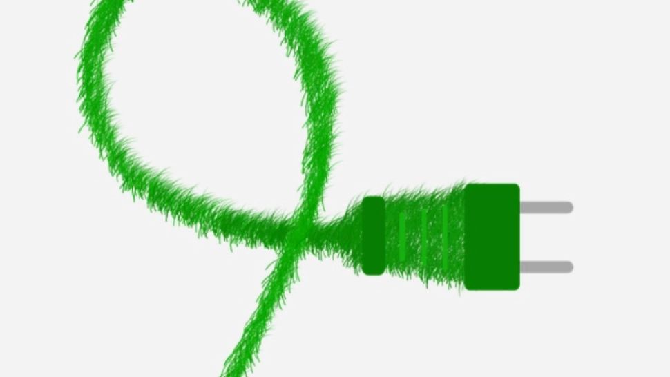 Director la stat, prins la furat curent