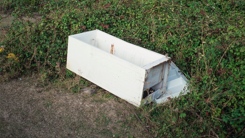 „Doamna din frigider”. Caz rezolvat de polițiști după aproape 30 de ani