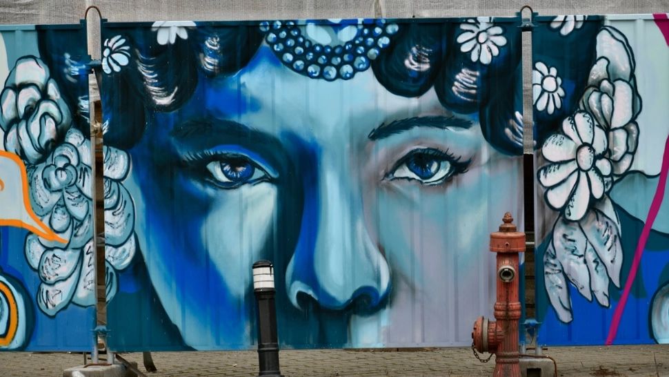 Gard de șantier, transformat în galerie de artă urbană. O inițiativă privată, impact major pentru societate - FOTO