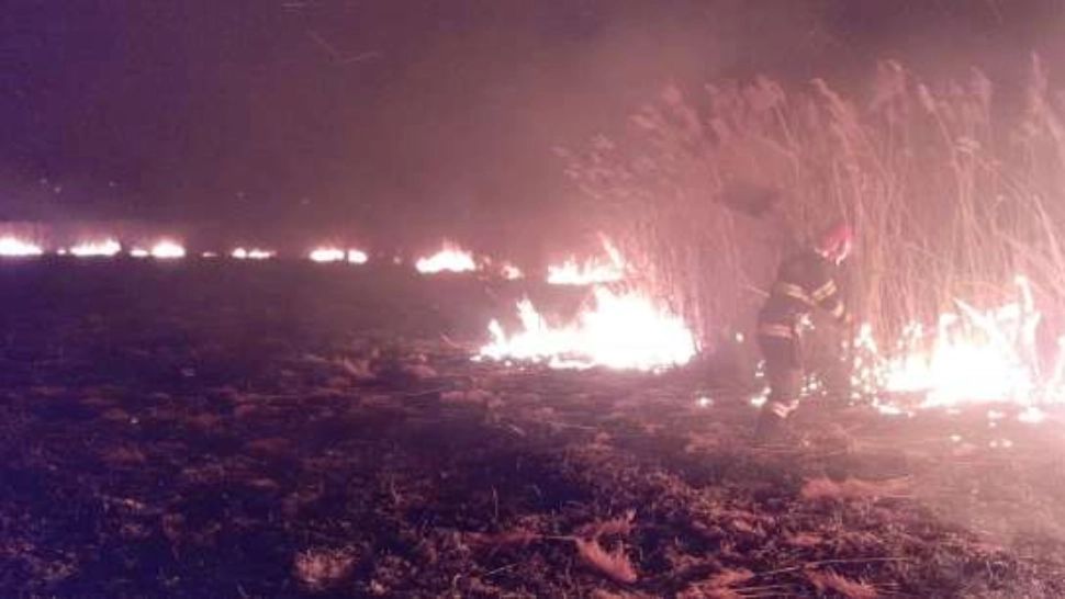 Incendii de vegetație în două zone din țară - Zeci de hectare ard  - Mai multe localități sunt puternic afectate