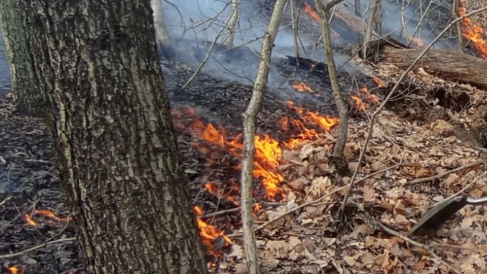 Incendiu violent în apropiere de Baia Mare - 29 de pompieri intervin în forță - FOTO