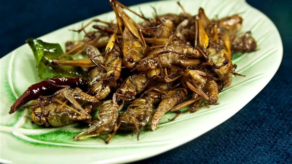 Biblia menționează lăcustele și greierii ca alimente permise consumului - Carnea de porc, interzisă