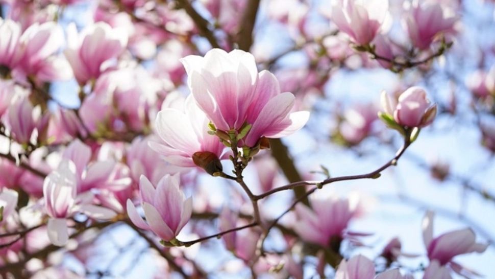 Temperaturi anormale, în România. Ce urmează după valul de frig - avertismentul meteorologilor