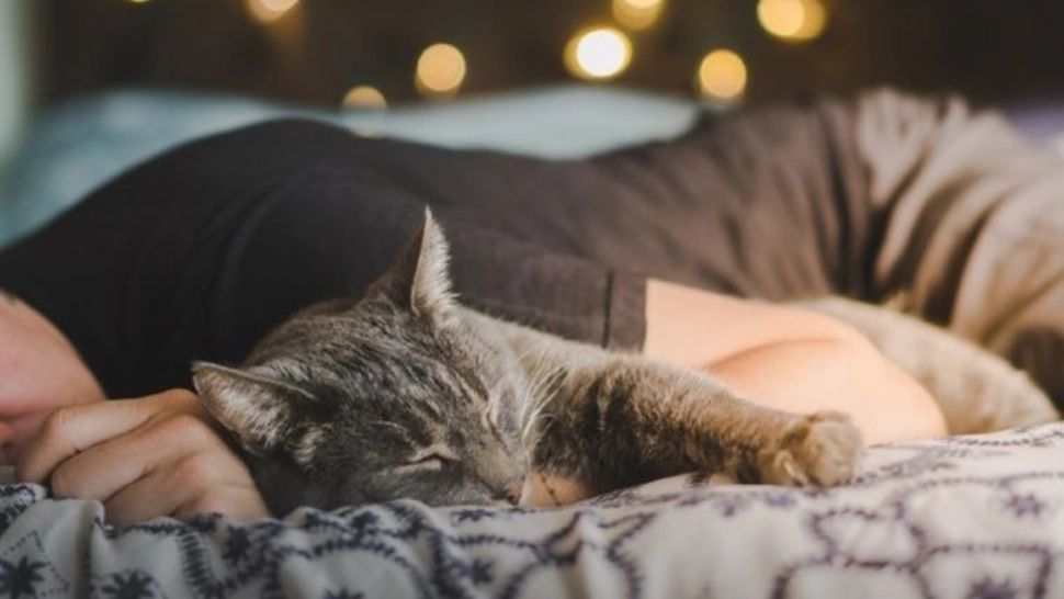 8 alimente sănătoase pentru un somn liniștitor - Când trebuie neapărat să le consumi