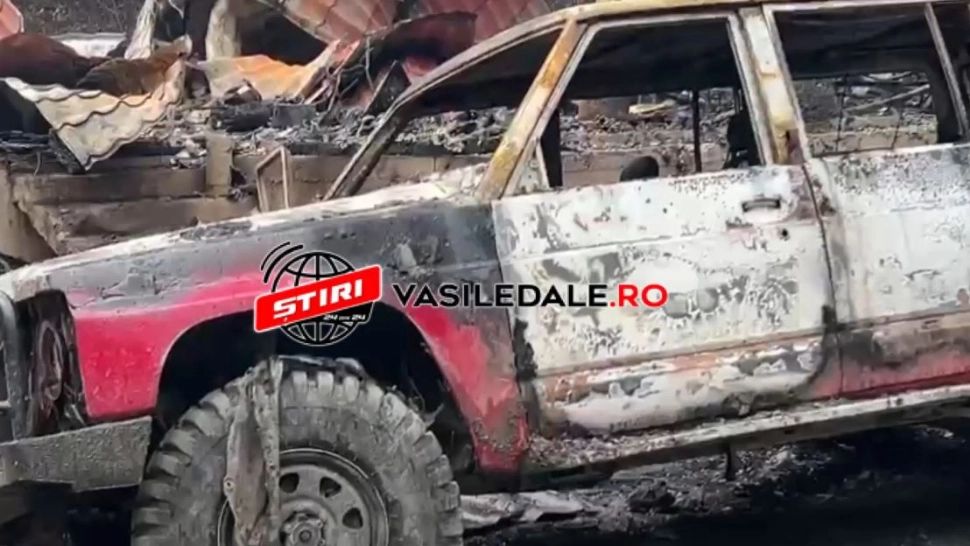 Reglare de conturi, în Maramureș, după o licitație pentru pădure. Paznicul, sechestrat, câinele ucis (VIDEO)