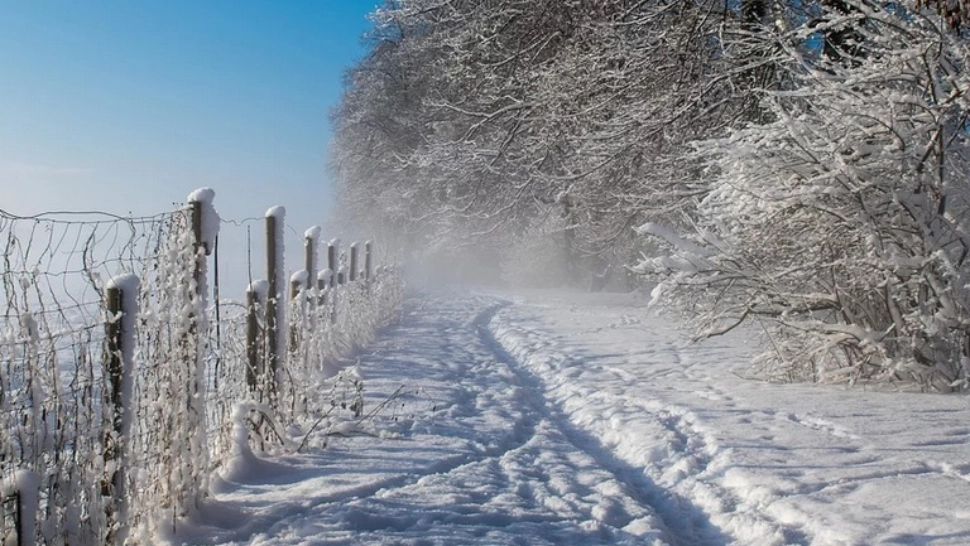 ANM emite cod galben de ninsori și două coduri portocalii de viscol. Unde va lovi urgia albă 