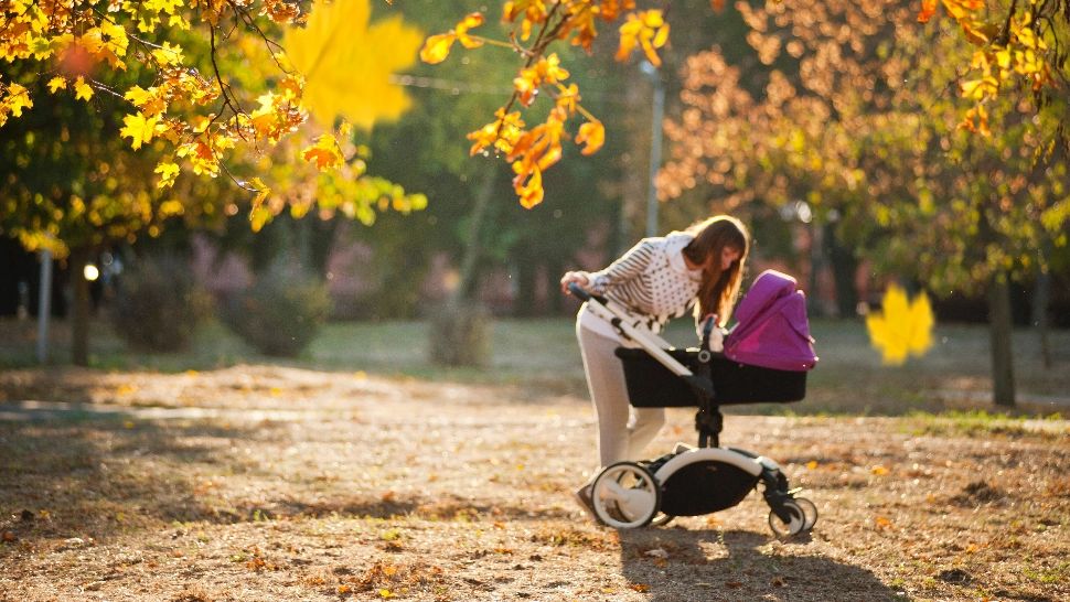 Ce sunt cărucioarele de copii 3 în 1 de lux și unde le găsești? (P)