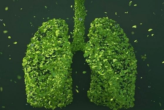 Amestecul care vindecă și cea mai gravă tuse și curăță plămânii peste noapte