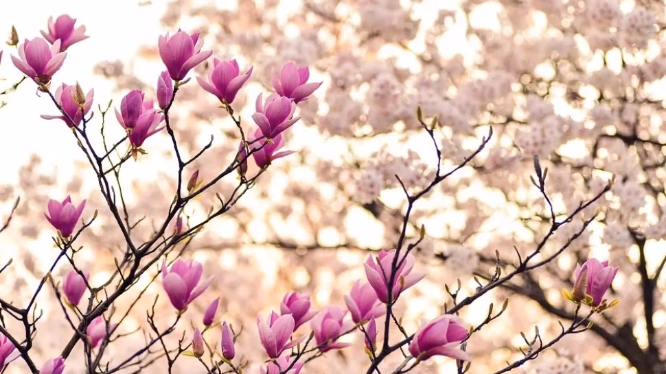 Cum va fi vremea de Paște 2026: prognoza meteo pentru următoarele patru săptămâni