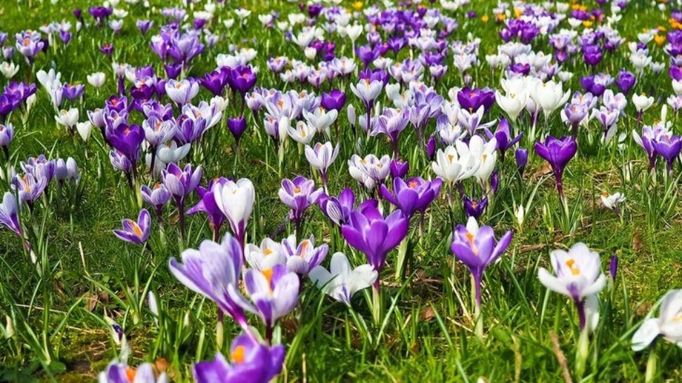 Vremea 14 aprilie - Ploi și vijelii, dar și temperaturi de 24 de grade - Ce zone sunt vizate