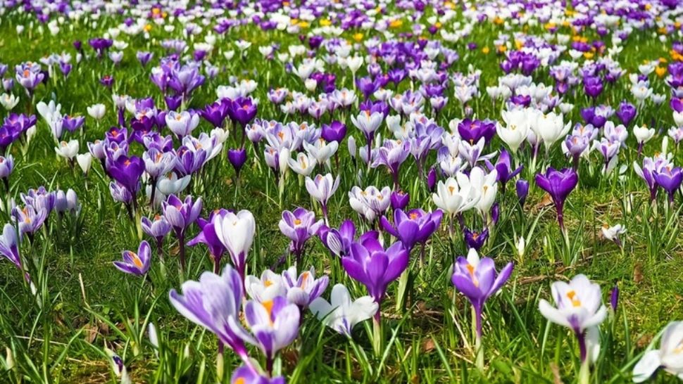 România, lovită de un val de căldură din nordul Africii - temperaturi de peste 25 de grade, în martie!