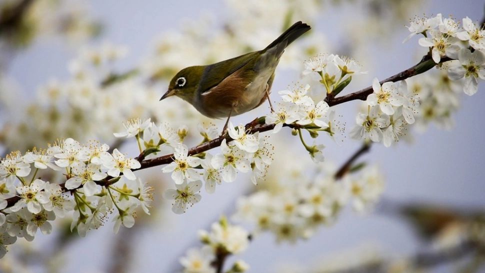 Val de aer tropical peste România. Unde se aşteaptă maxime de 23 de grade Celsius - prognoza meteo pe o lună, actualizată