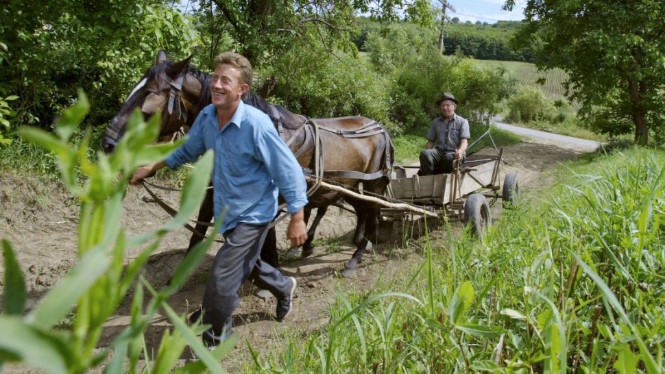 De unde vine expresia „Tulai, Doamne!”? Toți am auzit-o, dar puțini știm ce înseamnă de fapt