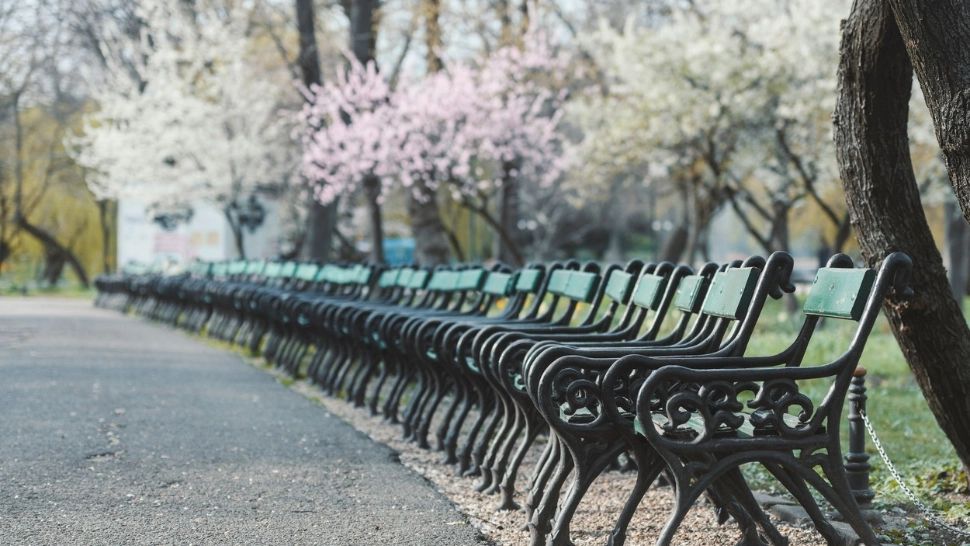 Temperaturi mai scăzute decât normalele perioadei, în următoarele 4 săptămâni. Revin și precipitațiile! - Estimările ANM pentru perioada 27.03-24.04.2023
