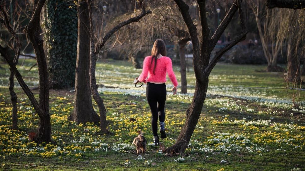 Val de căldură peste România săptămâna aceasta și în weekend. Cum se schimbă vremea din 27 martie - Anunțul ANM