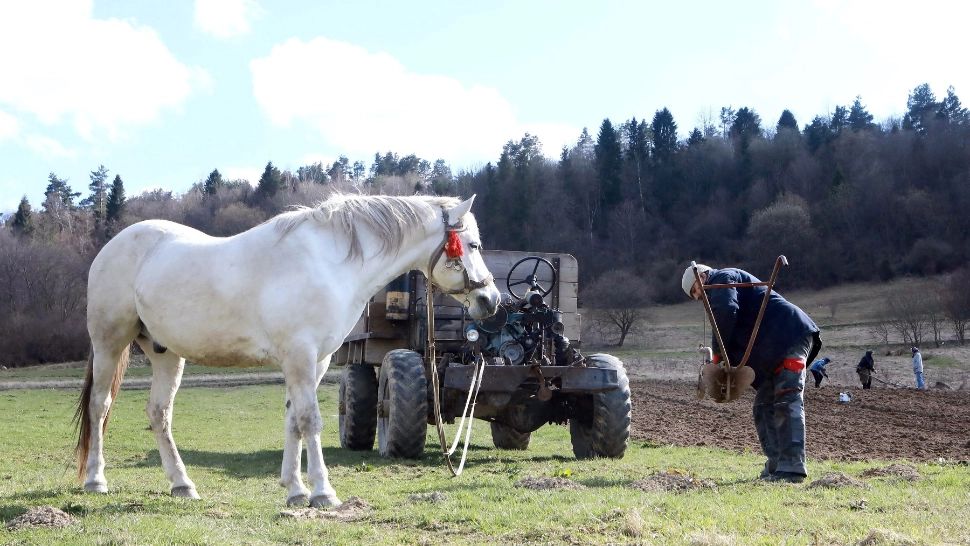 Fermierii din Ucraina plantează recolta printre bombe neexplodate. Cum își riscă viața vecinii noștri pentru pâinea zilnică