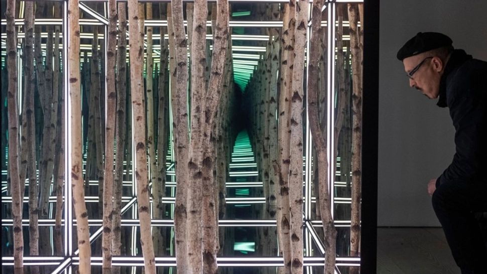 Testul pe care doar cei mai ageri români îl pot trece. Ai la dispoziție 15 secunde!