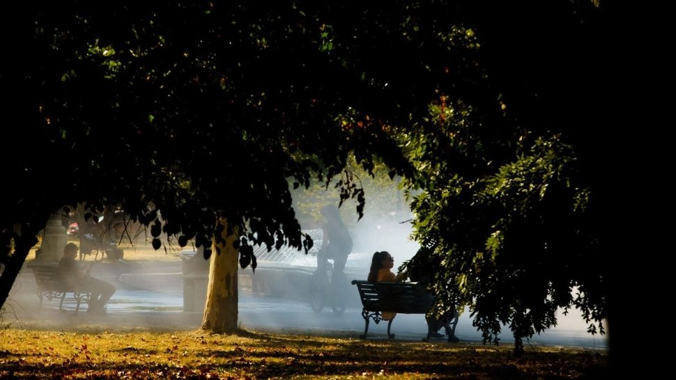  Vreme caldă şi temperaturi peste mediile perioadei din calendar, în următoarele două săptămâni. Prognoza emisă de ANM