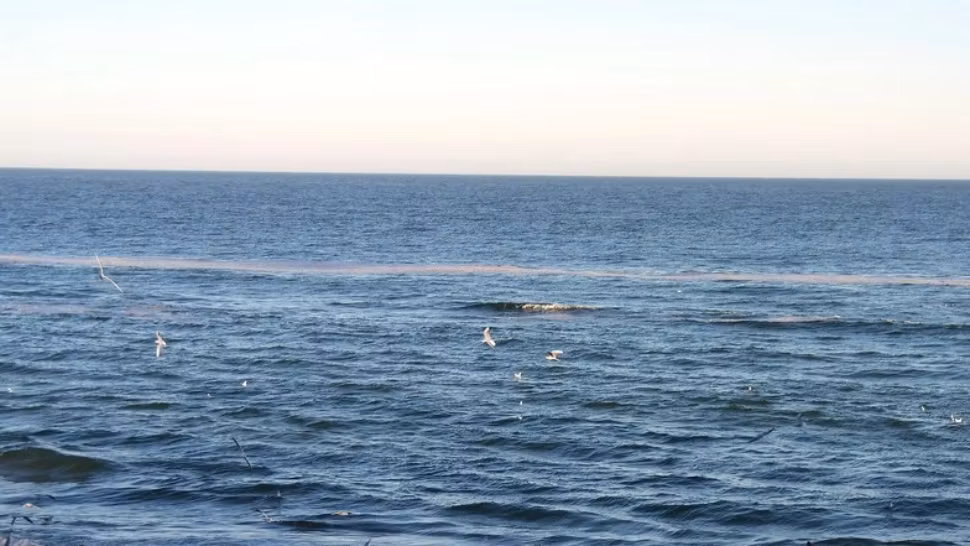 Exercițiu de amploare în Marea Neagră - Risc crescut de migranți pe teritoriul țării