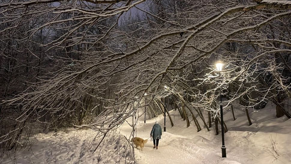 Strat de zăpadă de 41 de centimetri la Moscova. Imagini de poveste!