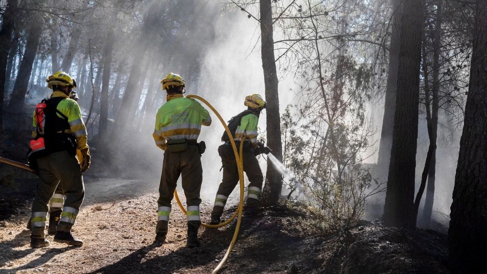 Apocalipsa METEO. Abia am ieșit din iarnă și este alertă de INCENDII provocate de căldură și secetă