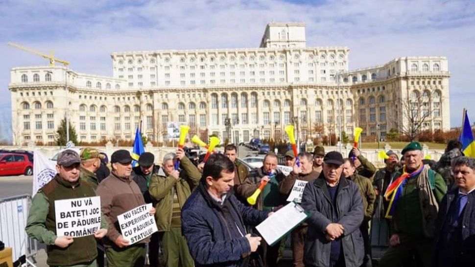 PROTEST amplu al sindicaliștilor silvicultori, în fața Parlamentului. Care sunt principalele REVENDICĂRI